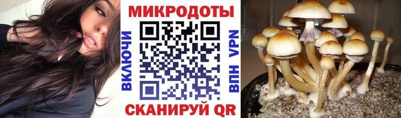 наркотики  Мамадыш  darknet клад  Псилоцибиновые грибы Psilocybine cubensis 